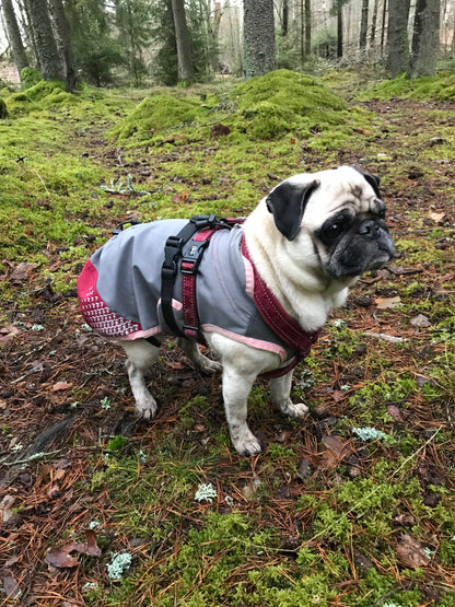 All-weather dog blanket | 30 | Feel Active