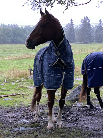 Regntäcke 0g | 130 | Horseware Rhino Original Plus Hals
