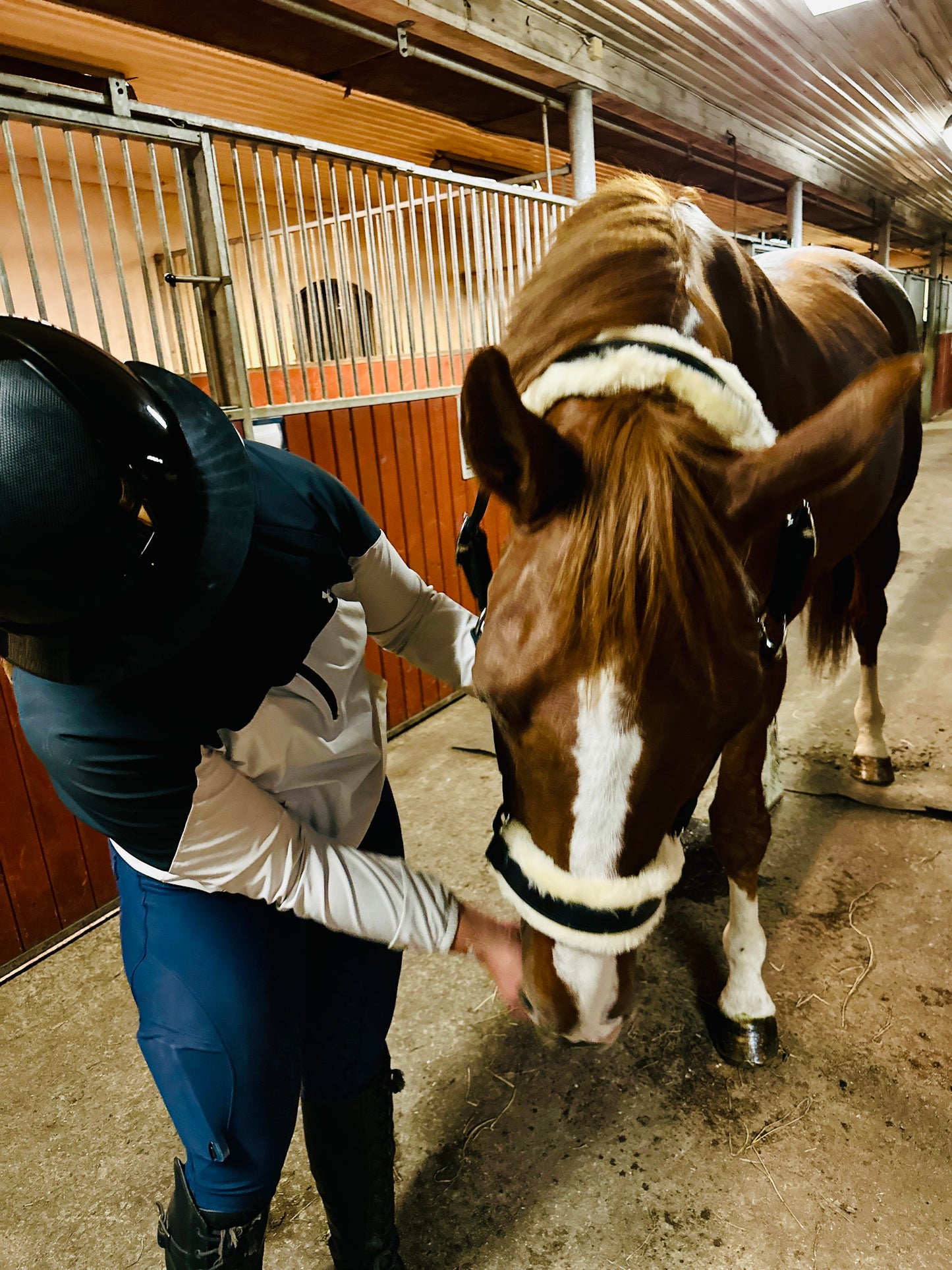 Lädergrimma med fårskinn | Eponia Equestrian sport