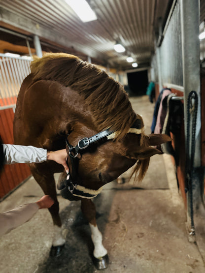 Lädergrimma med fårskinn | Eponia Equestrian sport