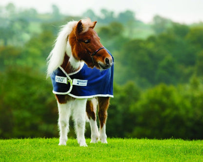 Coolertäcke | 75 | Horseware Amigo Petite Jersey Cooler