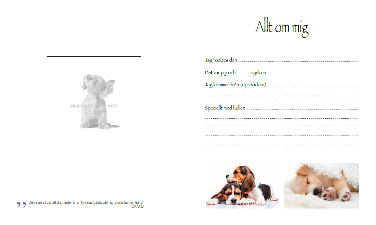 Book | My wonderful dog life
