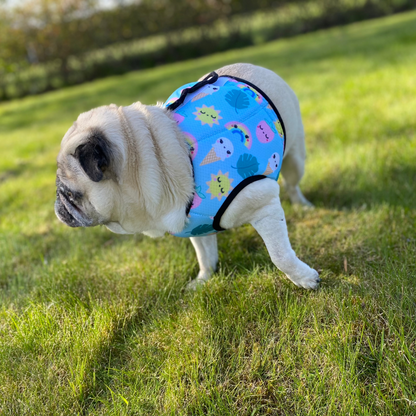 Kylväst till hund | M | Pet Club