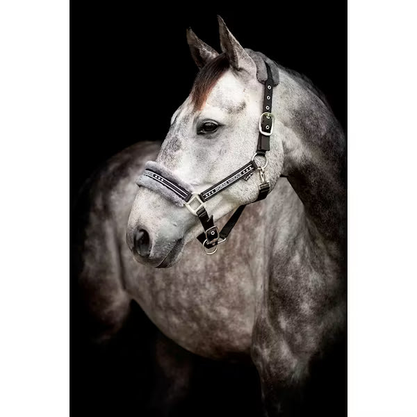 Grimma Horse Unique | Shetl - XFull | Källquist Equestrian