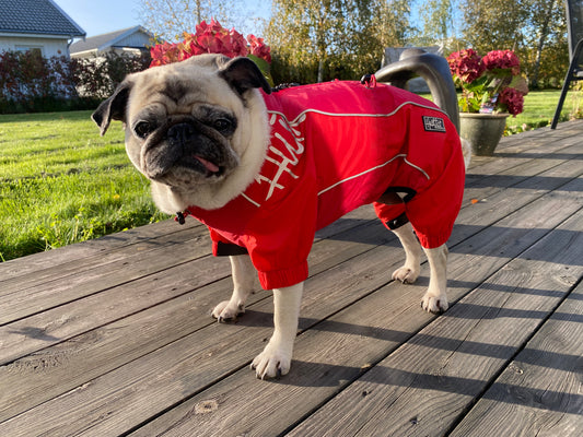 Hundoverall  | 381 resp. 321 | Hurtta