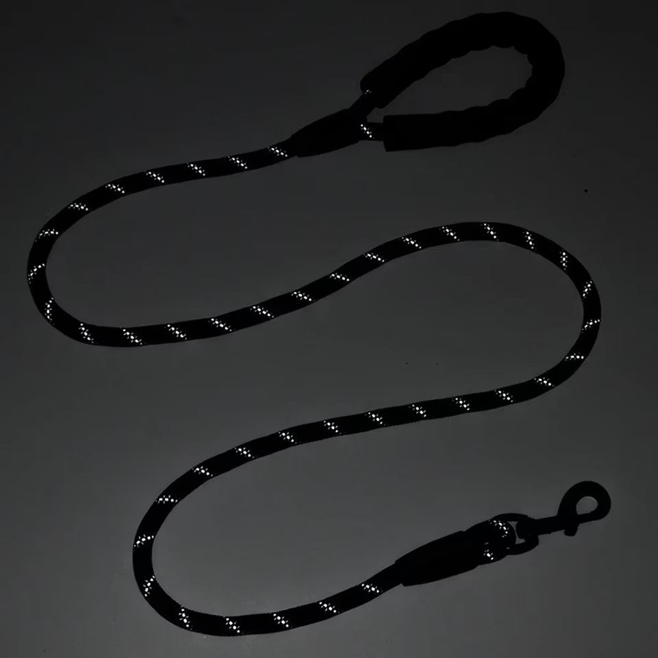 Dog leash