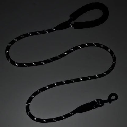 Dog leash