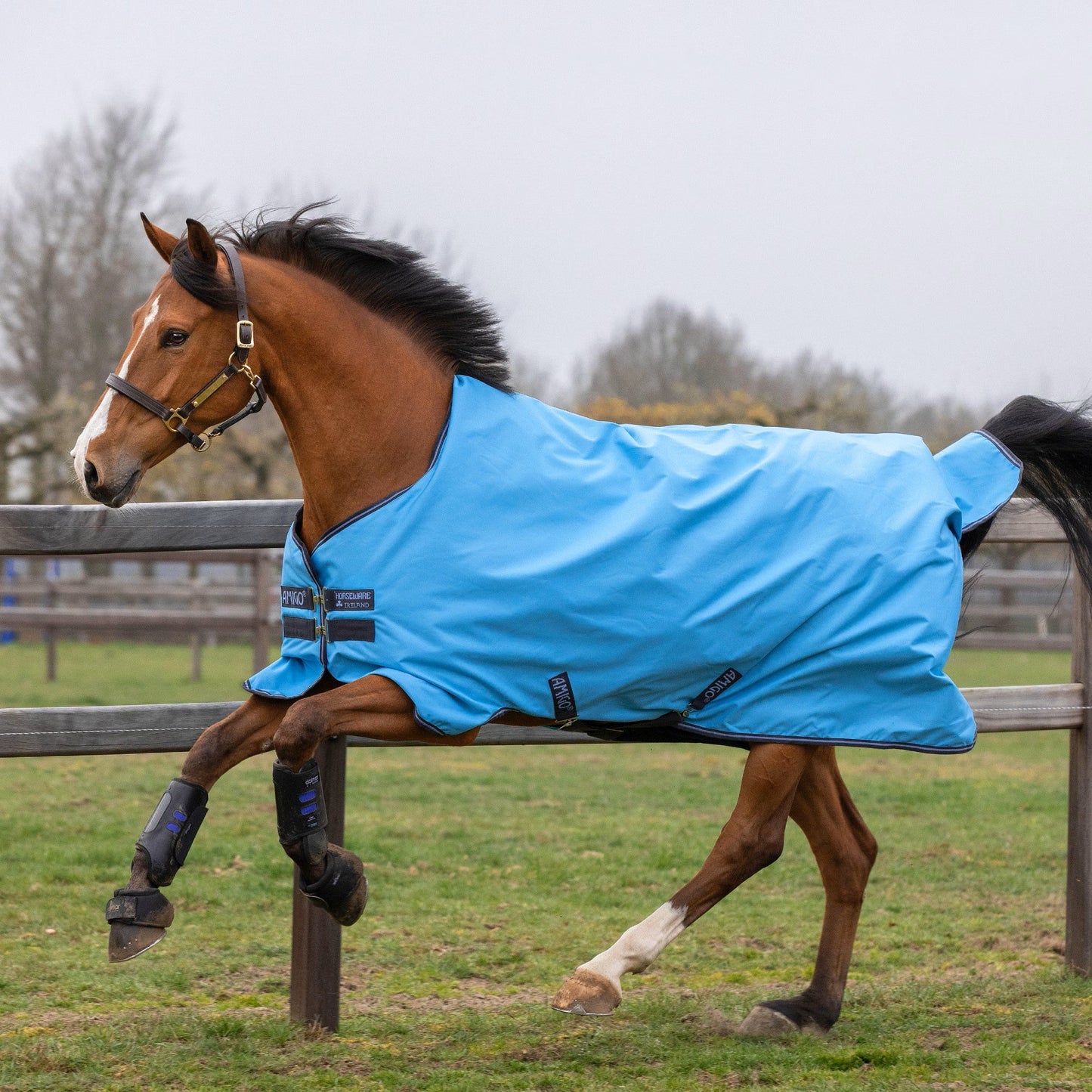 Amigo Hero 900 T/O Lite 0g | 145 | Horseware - Equi ReUse Sweden AB