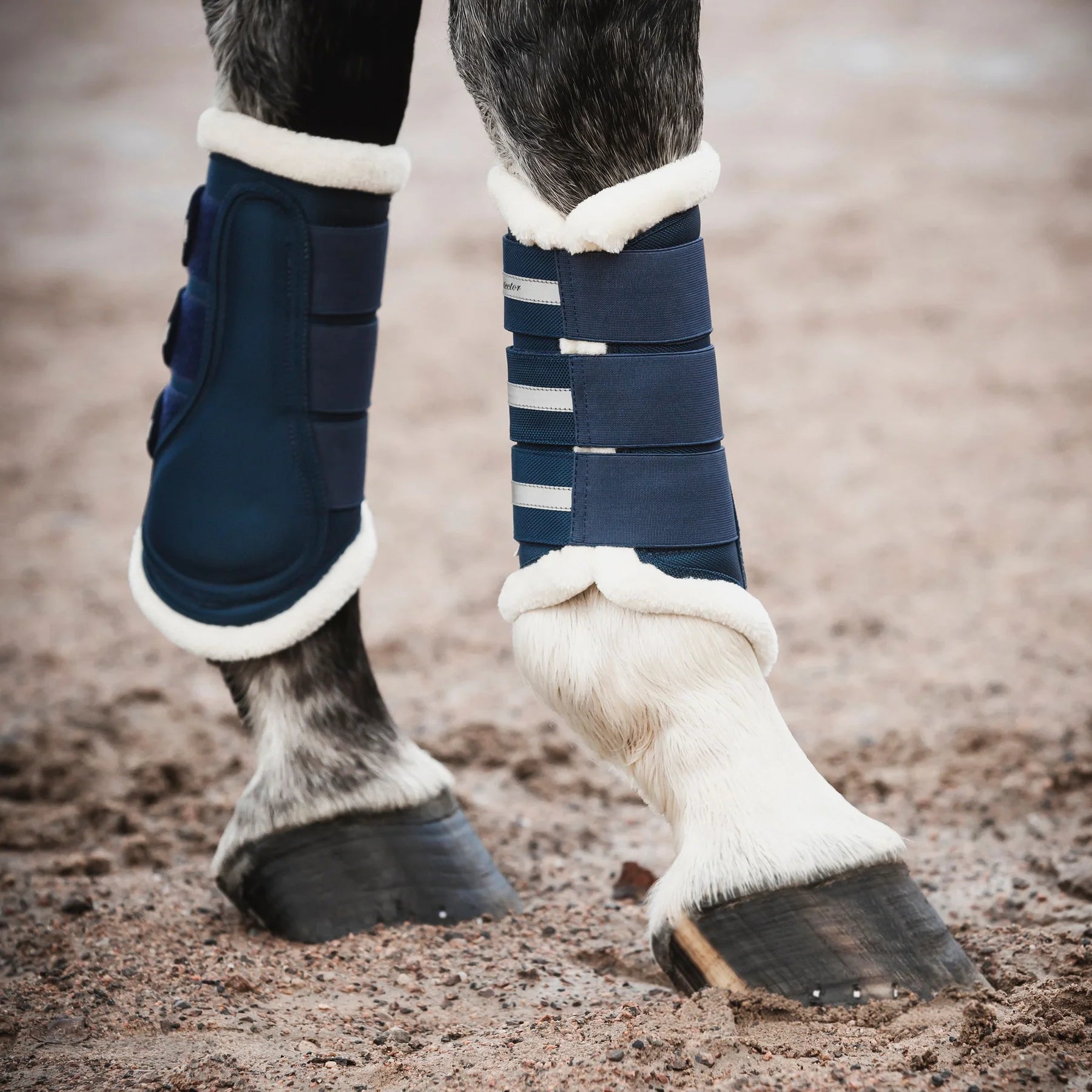 Benskydd | L | Protector - Equi ReUse Sweden AB