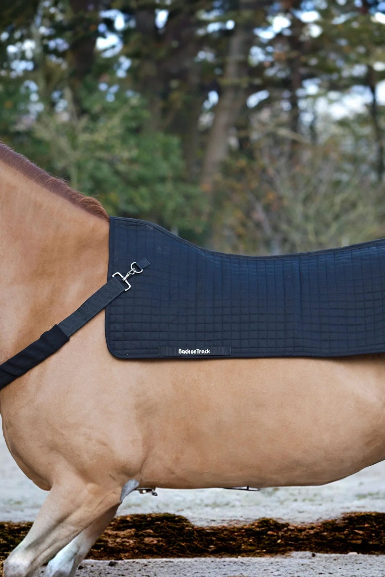 Brösta till ryggvärmare | Back on Track - Equi ReUse Sweden AB