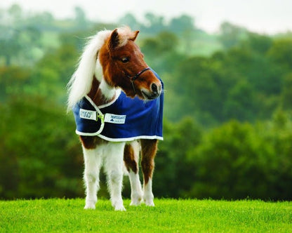 Coolertäcke | 75 | Horseware Amigo Petite Jersey Cooler - Equi ReUse Sweden AB