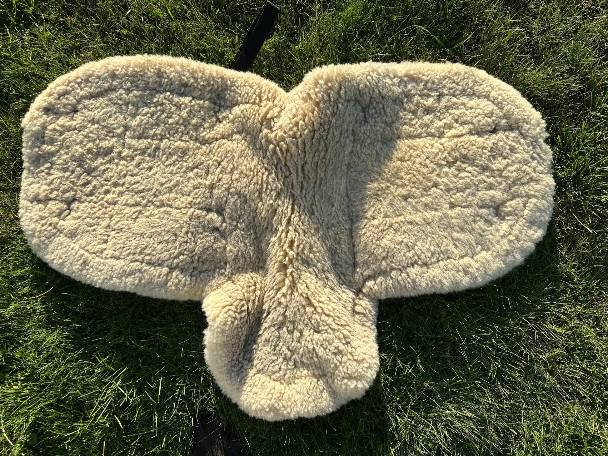 Fårskinnspad vojlock | Full - Equi ReUse Sweden AB