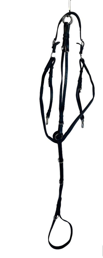 Förbygel inkl martingal | Dyón - Equi ReUse Sweden AB