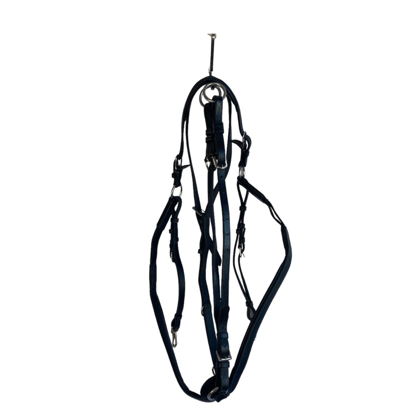 Förbygel inkl martingal | Dyón - Equi ReUse Sweden AB