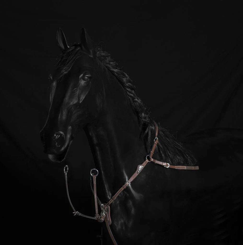 Förbygel inkl. martingal | Equiline - Equi ReUse Sweden AB