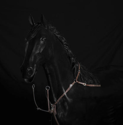 Förbygel inkl. martingal | Equiline - Equi ReUse Sweden AB