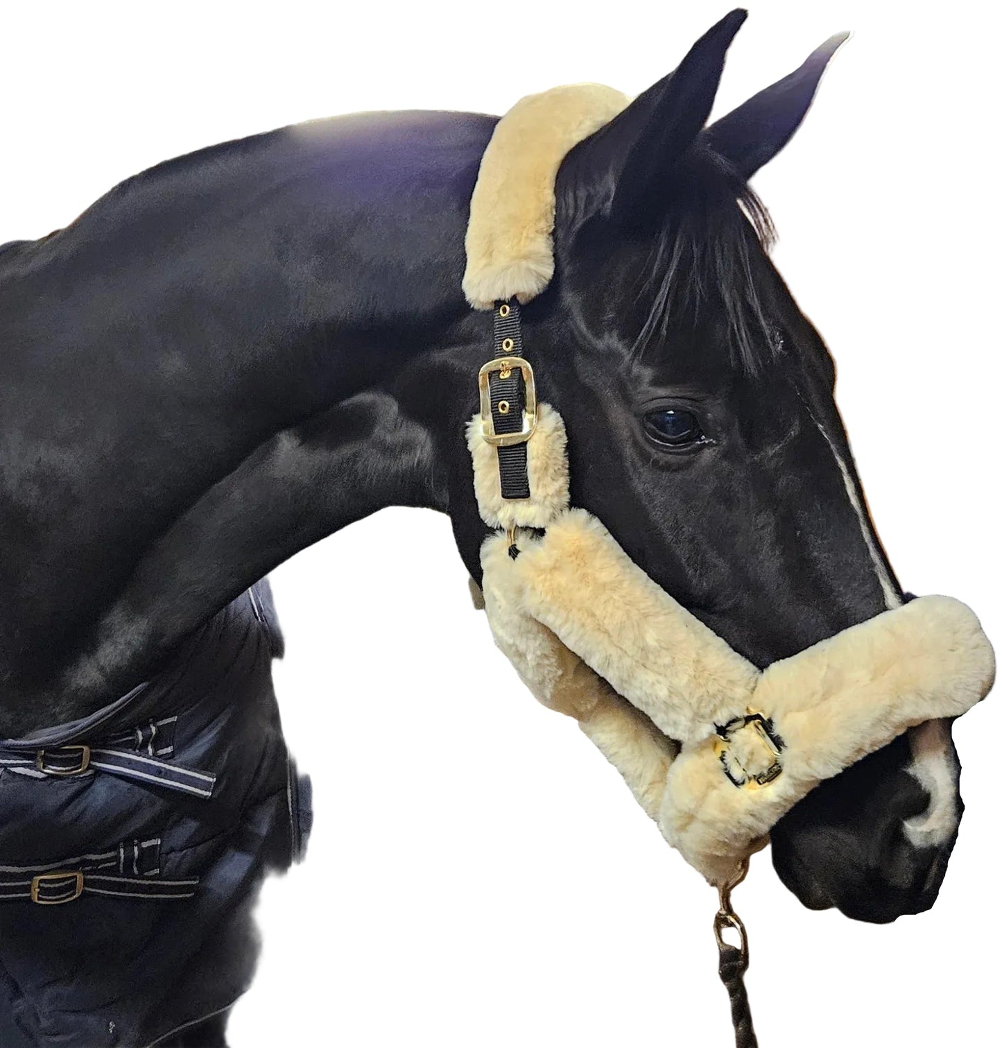 Grimma Cozy | Ponny - Full | Protector - Grimma - Equi ReUse Sweden AB