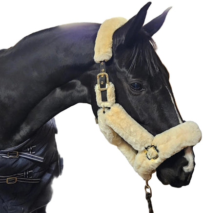 Grimma Cozy | Ponny - Full | Protector - Grimma - Equi ReUse Sweden AB