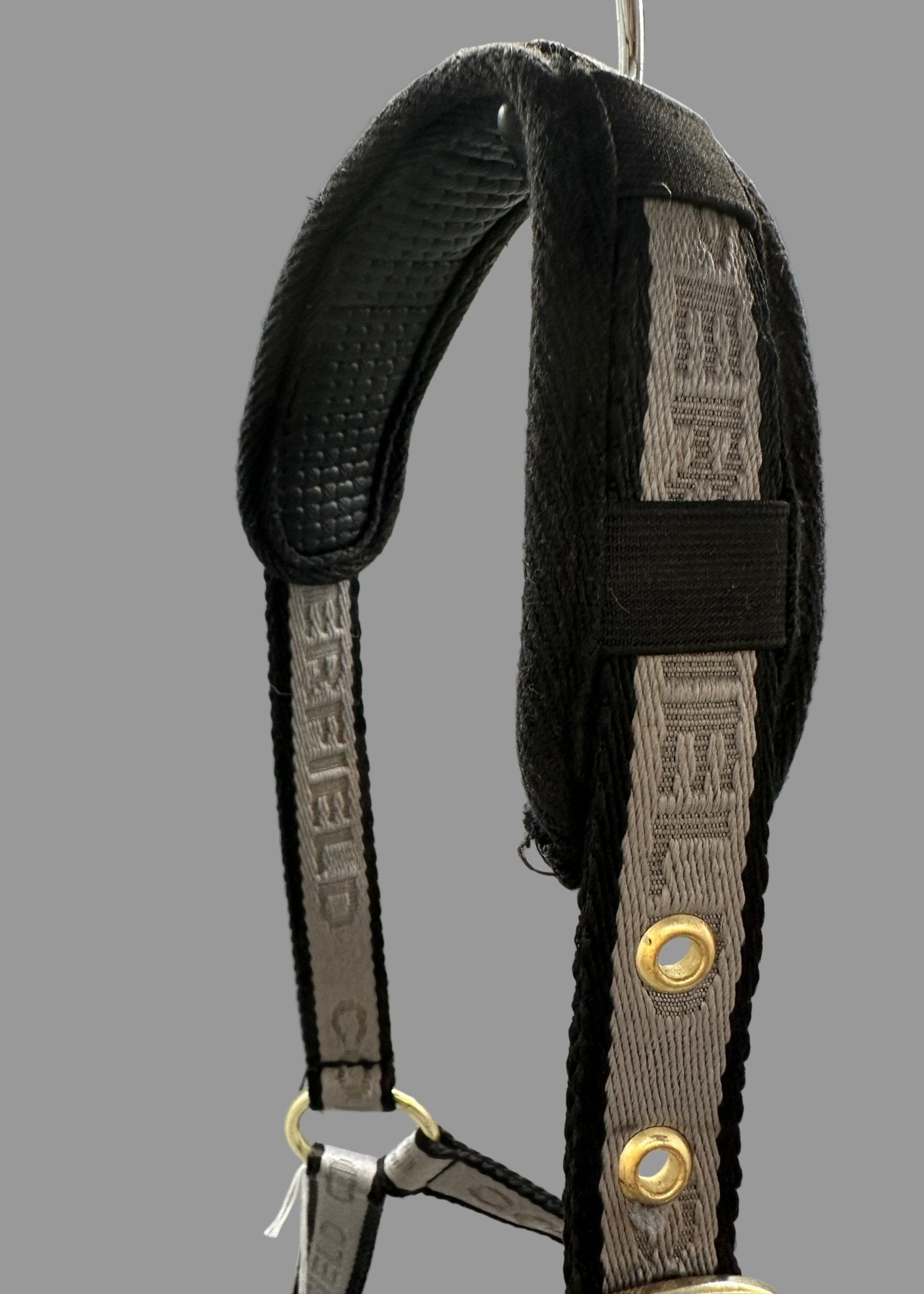 Grimma | Full | Copperfield - Grimma - Equi ReUse Sweden AB