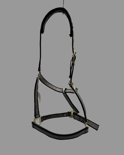 Grimma | Full | Copperfield - Grimma - Equi ReUse Sweden AB