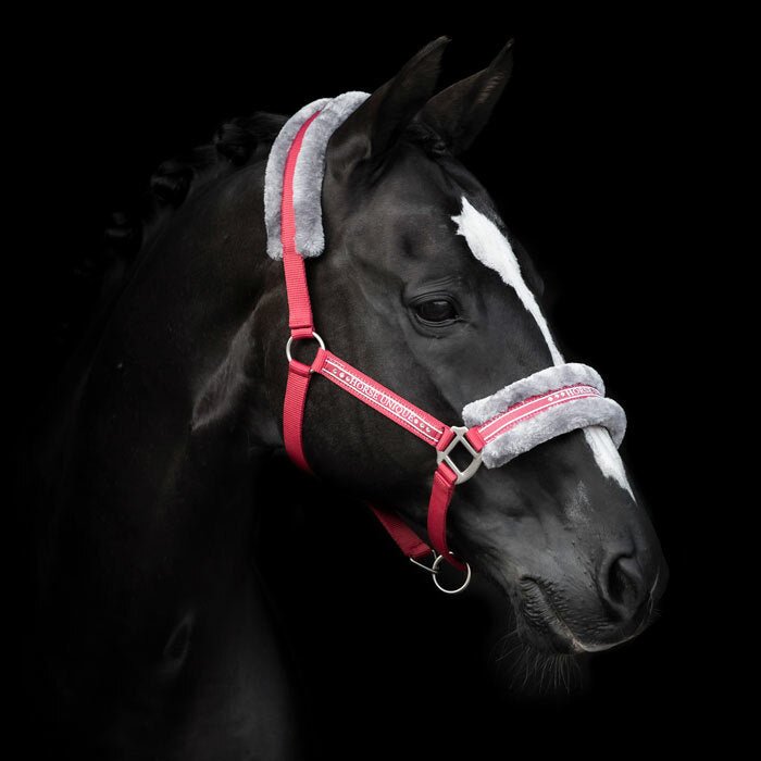 Grimma Horse Unique | Shetl - XFull | Källquist Equestrian - Grimma - Equi ReUse Sweden AB