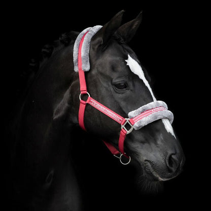 Grimma Horse Unique | Shetl - XFull | Källquist Equestrian - Grimma - Equi ReUse Sweden AB