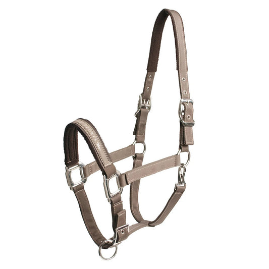 Grimma Memphis | Cob | Schockemöhle Sports - Grimma - Equi ReUse Sweden AB