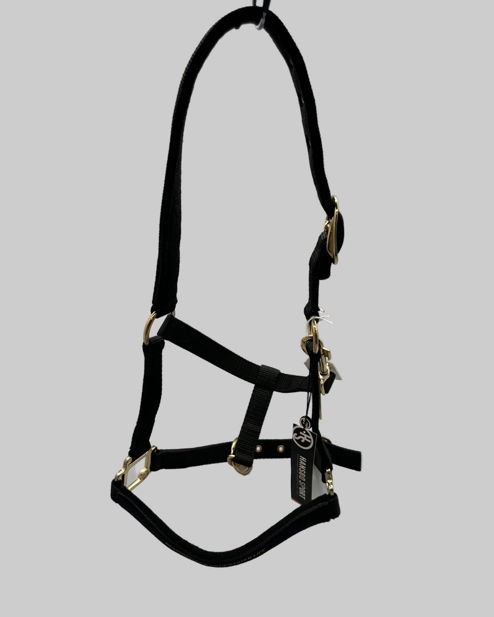 Grimma | Ponny | Hansbo Sport - Grimma - Equi ReUse Sweden AB