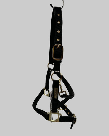 Grimma | Ponny | Hansbo Sport - Grimma - Equi ReUse Sweden AB