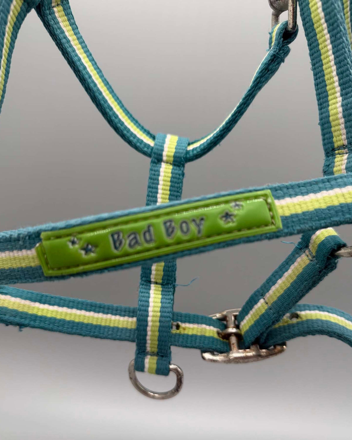 Grimma | Shetland - Equi ReUse Sweden AB