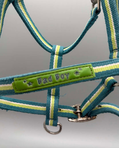 Grimma | Shetland - Equi ReUse Sweden AB