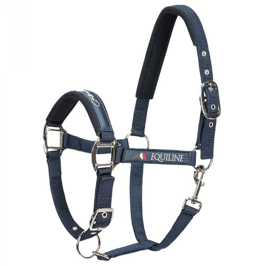 Grimma Timmy | Cob-Full | Equiline - Grimma - Equi ReUse Sweden AB