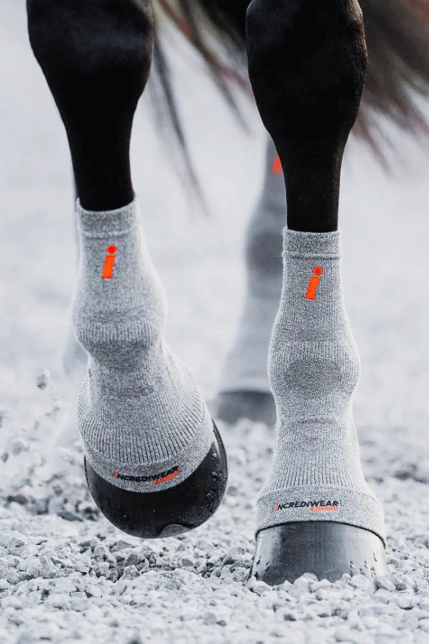 Hoof socks Active Recovery | Incrediwear Equine - Equi ReUse Sweden AB
