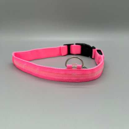 Hundhalsband med LED - ljus med fast och blinkande sken - Halsband - Equi ReUse Sweden AB