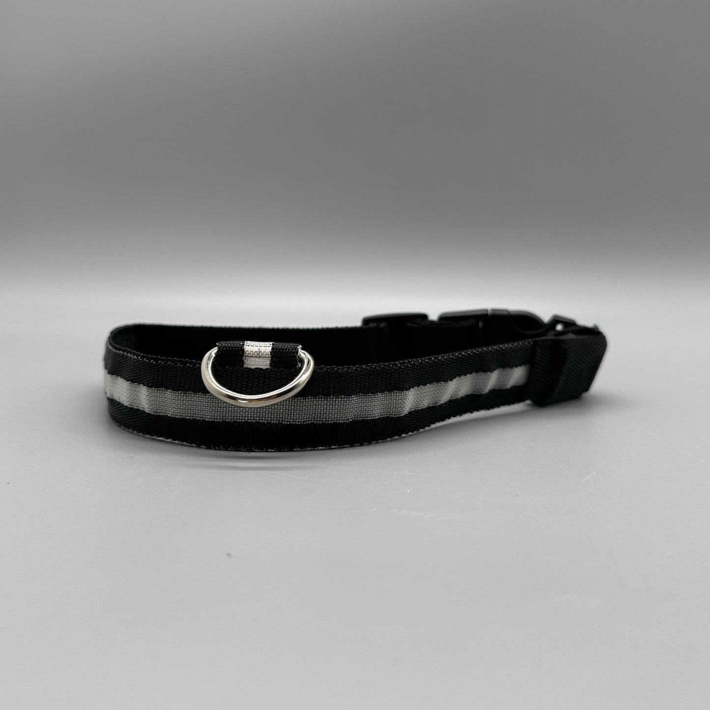 Hundhalsband med LED - ljus med fast och blinkande sken - Halsband - Equi ReUse Sweden AB