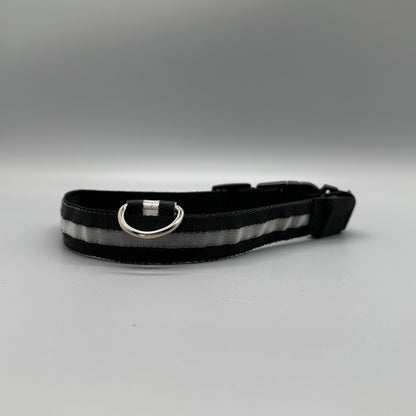 Hundhalsband med LED - ljus med fast och blinkande sken - Halsband - Equi ReUse Sweden AB