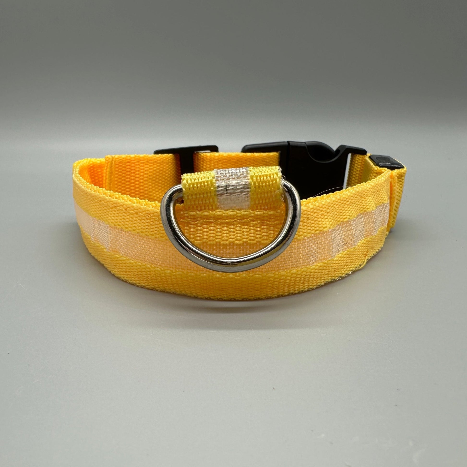 Hundhalsband med LED - ljus med fast och blinkande sken - Halsband - Equi ReUse Sweden AB