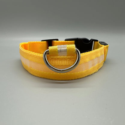 Hundhalsband med LED - ljus med fast och blinkande sken - Halsband - Equi ReUse Sweden AB