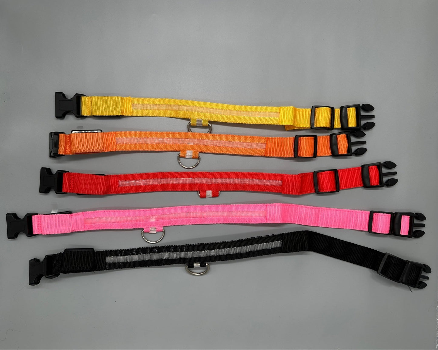 Hundhalsband med LED - ljus med fast och blinkande sken - Halsband - Equi ReUse Sweden AB