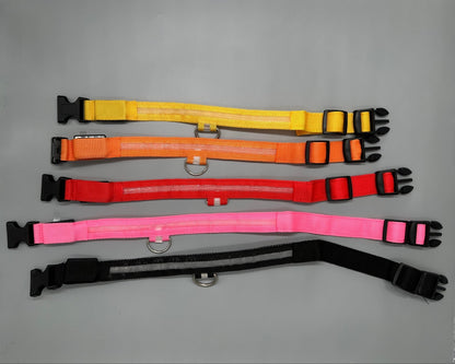 Hundhalsband med LED - ljus med fast och blinkande sken - Halsband - Equi ReUse Sweden AB