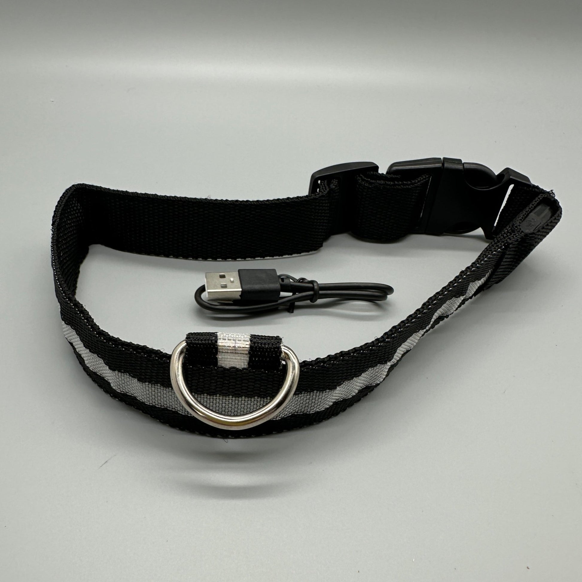 Hundhalsband med LED - ljus med fast och blinkande sken - Halsband - Equi ReUse Sweden AB