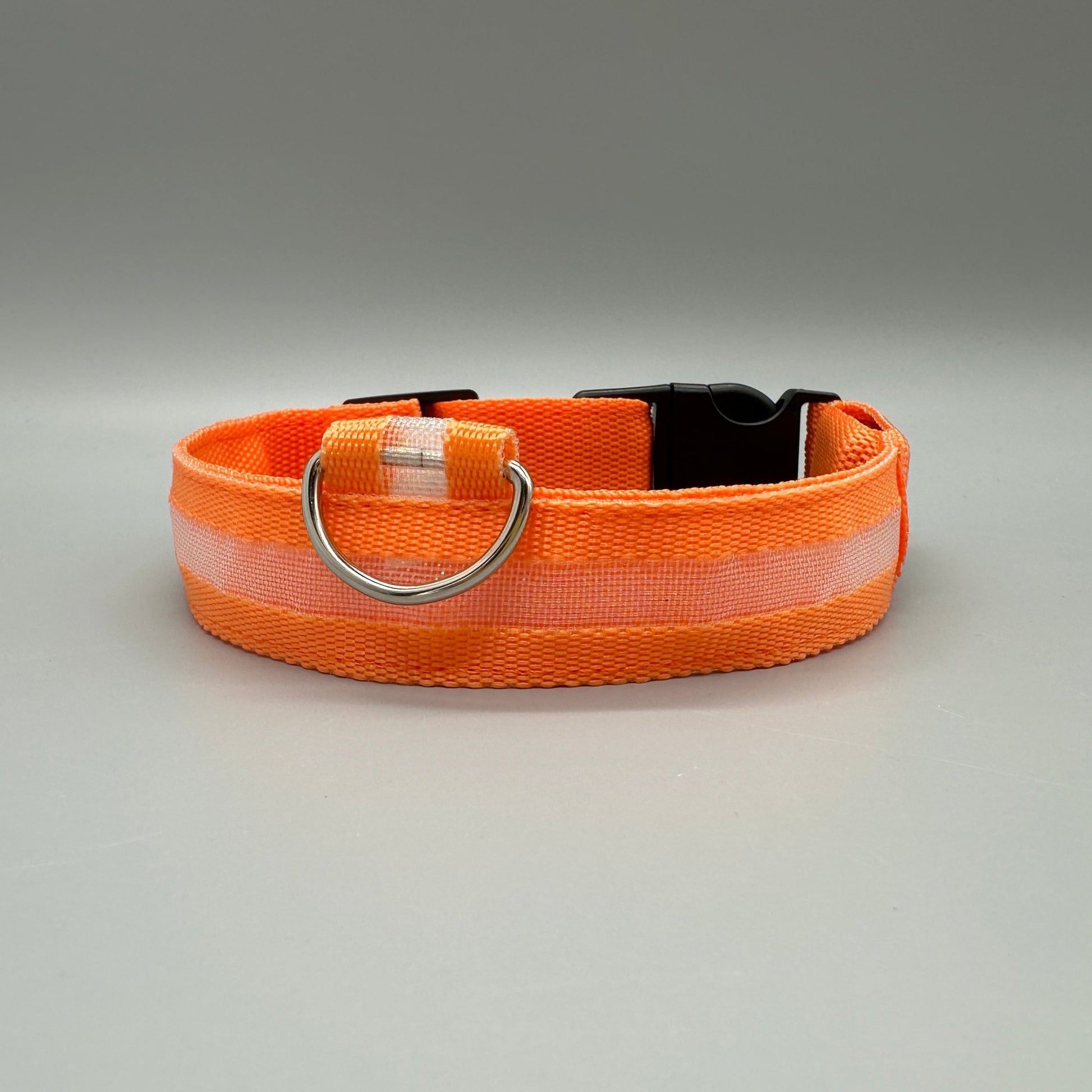 Hundhalsband med LED - ljus med fast och blinkande sken - Halsband - Equi ReUse Sweden AB