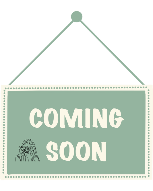 Hundhalsband med LED - ljus | Pet Safety - Equi ReUse Sweden AB