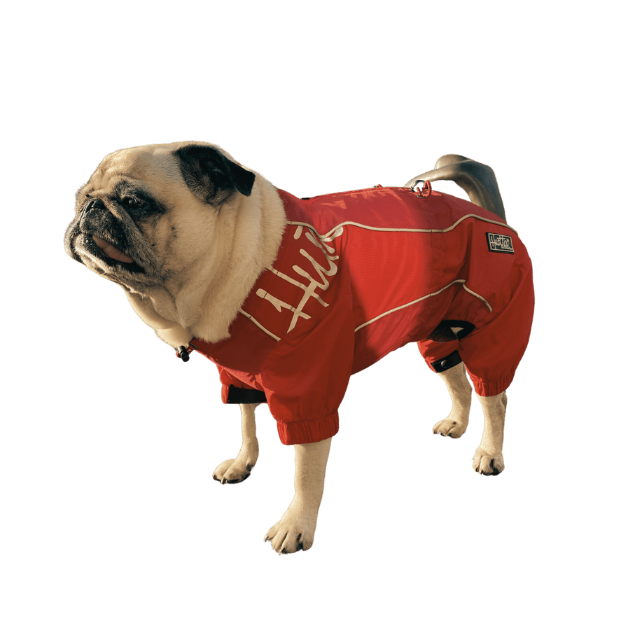 Hundoverall | 381 | Hurtta - Equi ReUse Sweden AB