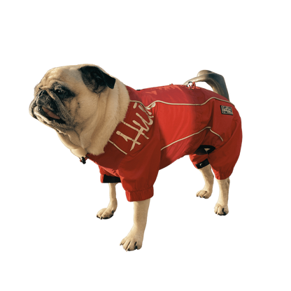 Hundoverall | 381 | Hurtta - Equi ReUse Sweden AB