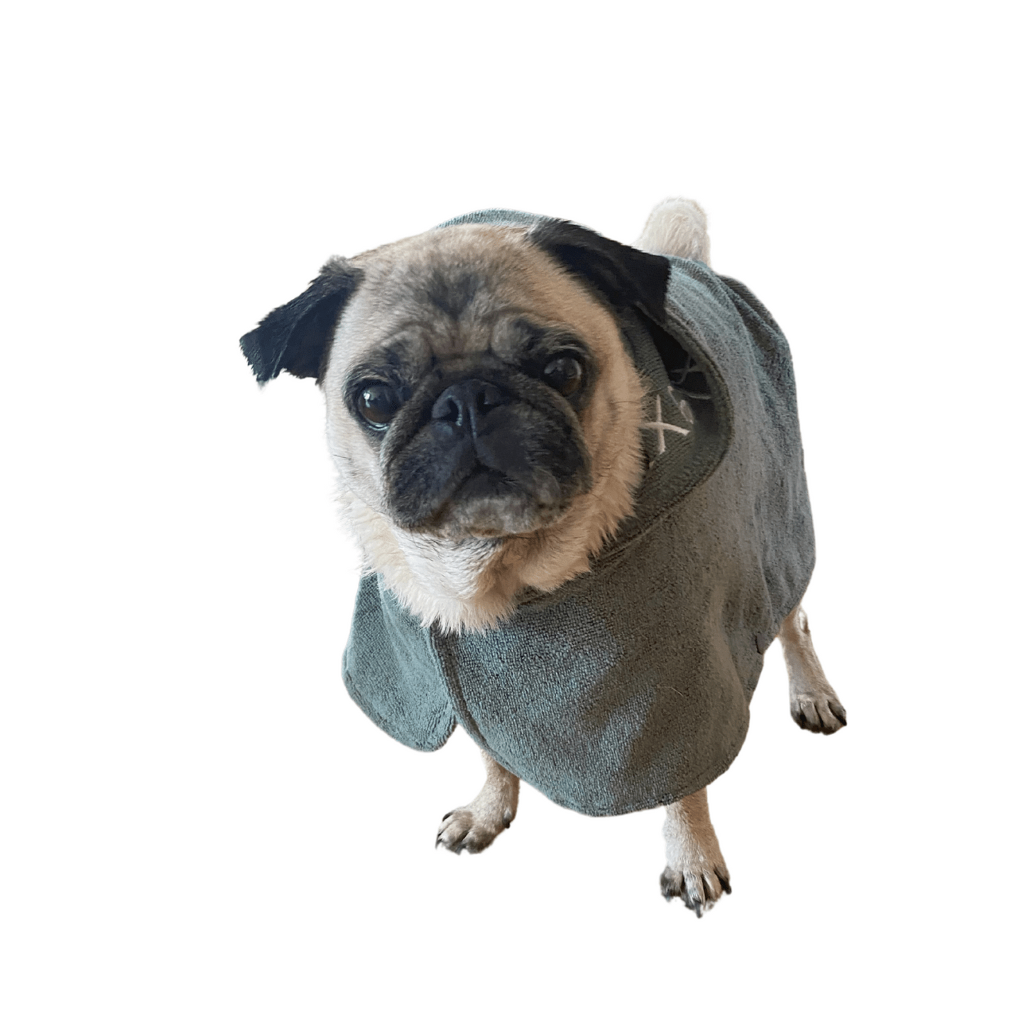 Hundtäcke badrock | 30 | Traxx - Equi ReUse Sweden AB