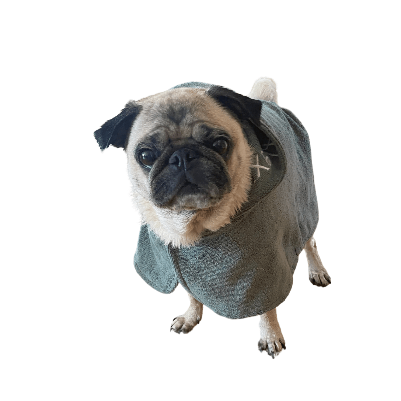 Hundtäcke badrock | 30 | Traxx - Equi ReUse Sweden AB