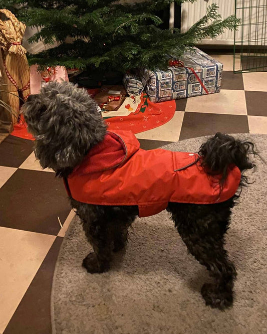 Hundtäcke med fleecefoder | 35 resp. 40 cm | - Hundtäcke - Equi ReUse Sweden AB