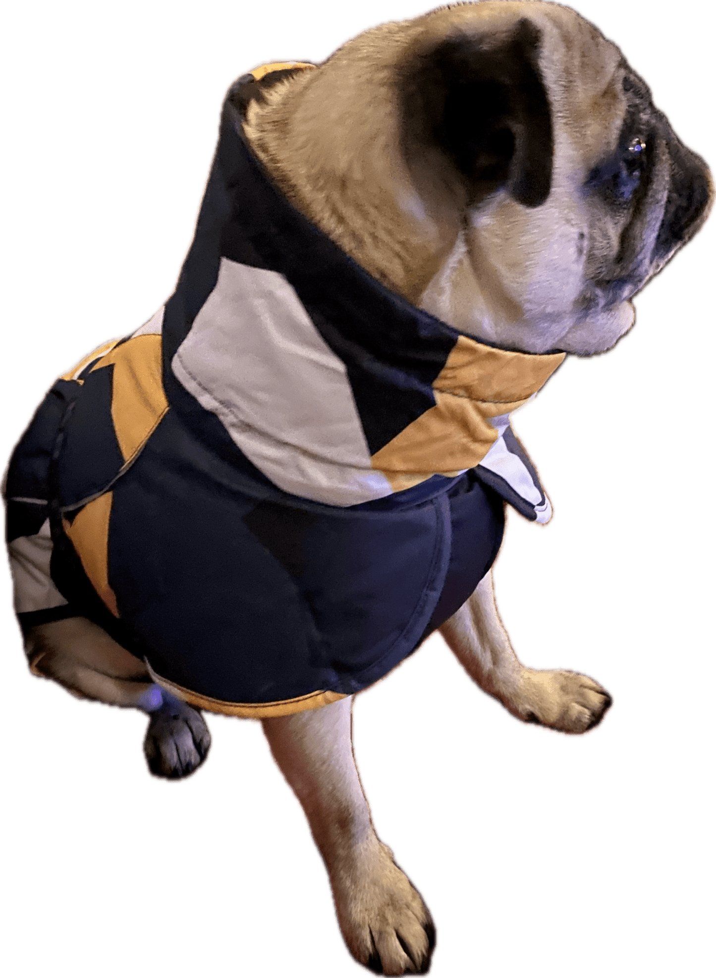 Hundtäcke med och reflexdetaljer | 35 | Rukka - Equi ReUse Sweden AB