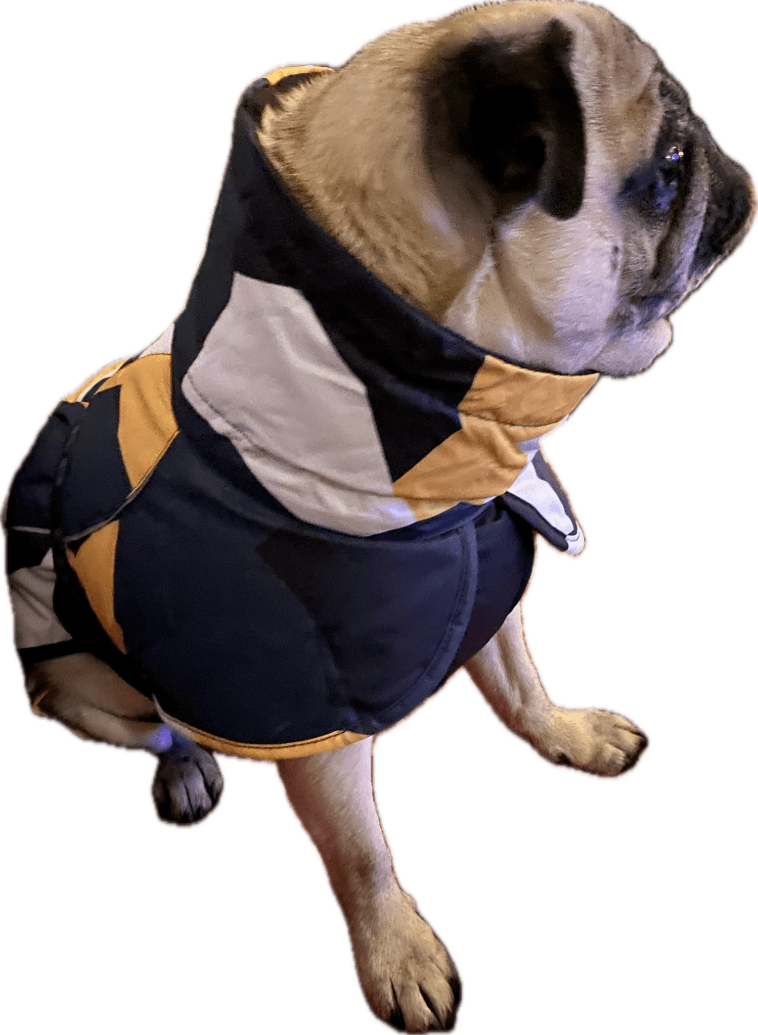 Hundtäcke med och reflexdetaljer | 35 | Rukka - Equi ReUse Sweden AB